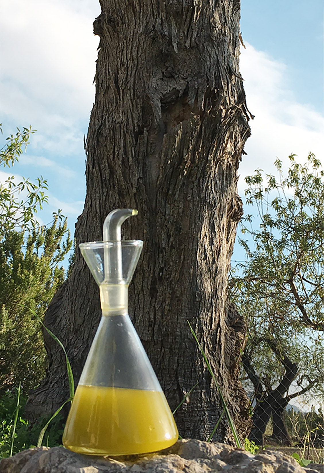 cr-oil-1